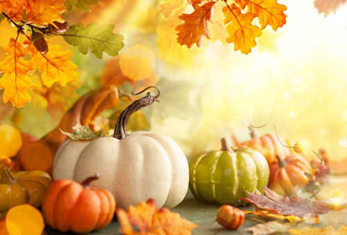 October 2025 Meeting