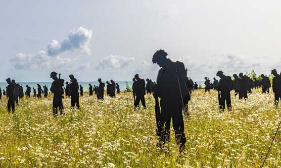 Standing with Giants and Poppy Patterns